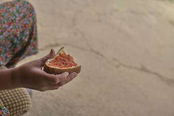 Hand holding bread with tomato paste. Woman's hand holding bread with tomato paste. 