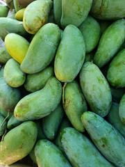 Closeup of Fresh Green Mango piles for sale in the market in Thailand.