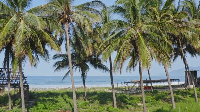 Aerial: remote beach shacks on tropical paradise beach, palm tree surf huts