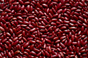 View Top of Red Kidney Bean for use as background, Full depth of field.