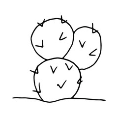 Cactus vector illustration. Doodle outline drawing.
