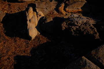 Big bird carn't fly!?. A different person a different way!.