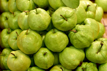 Closeup of Frest Green Guava fruit isolated on white background.