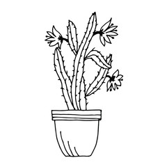 Cactus in a pot, home plant. Outline drawing with a black liner isolated on a white background. Vector illustration.