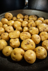 Cooking Creole potato also named yellow potato (Solanum phureja) 
