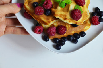 Homemade Belgium Waffles with fresh blueberries for breakfast. White plate, Viennese waffles with raspberries and mint. quick delicious breakfast on white background