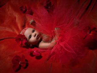 The newborn baby picture on red background