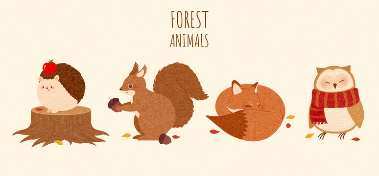 Set of autumn forest animal element