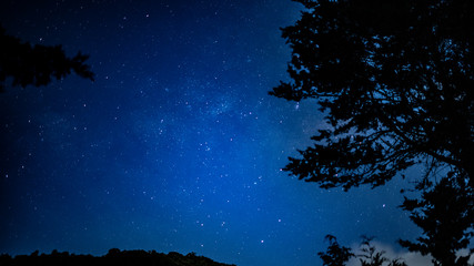 Naklejka premium beautiful starry night in a Colombian forest