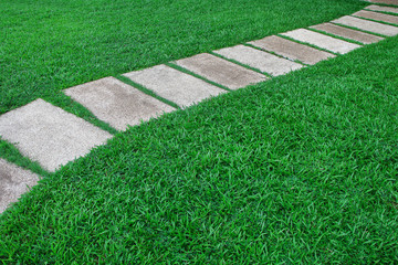 green lawn with pebble walkway for home decoration