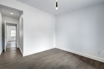 New big luxury modern house in Montreal's suburb partially furnished with backyard, empty rooms, closets, basement and garage