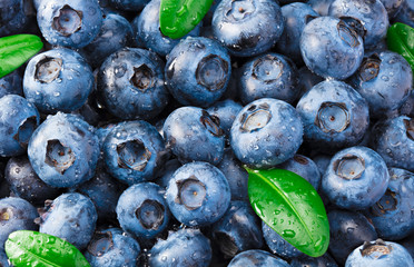 healthy background. blueberry texture. blueberries background. fruit background.