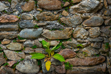 stones in the stone wall of the house in the stone fortress