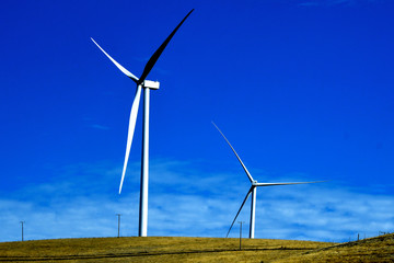 Giant Wind turbines dwarf regular utility poles, Altamont Pass, California 