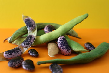 Käferbohnen auf dem orangen/gelben Hintergrund