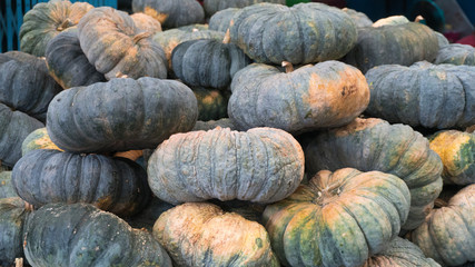 Many pumpkins are piled on the ground after harvest To wait for sale