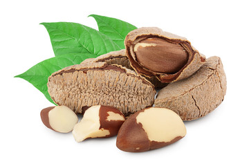 Brasil nuts in nutshell isolated on white background with clipping path and full depth of field.