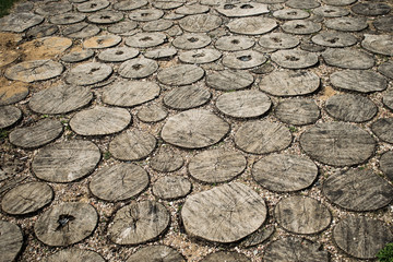 the background consists of a part of the road that consists of cut wooden stumps