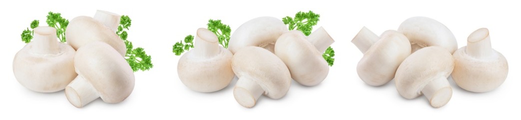 Fresh mushrooms champignon isolated on white background with clipping path and full depth of field. Set or collection