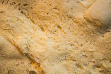 close-up of homemade bread after kneading and leavening in a blue and white striped tea 
towel composed of flour, remacina flour, yeast, water, oil and salt