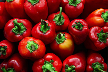 Seasonal red bell sweet pepper - fresh vegetable. Flat lay. Harvest from your garden.
