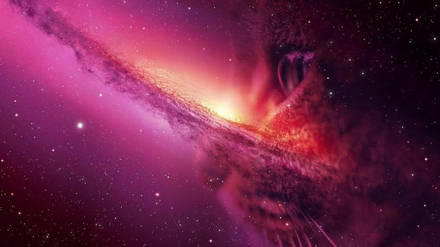 Video of universe or aerial flyby. Camera moves towards space and cat seen at a distance while stars flyby. Apt for motivational, meditation, intro or opener, music and spiritual videos.