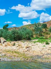 rocky coast of the Azov Sea, young olive trees and beautiful hills, blue sky with white large cumulus clouds on a sunny day