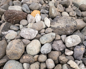 Golden stone on beach among stones