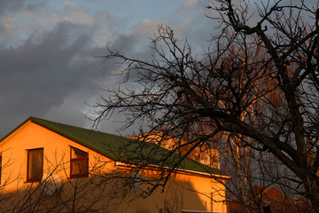 Fototapete bei efototapeten.de bestellen   
