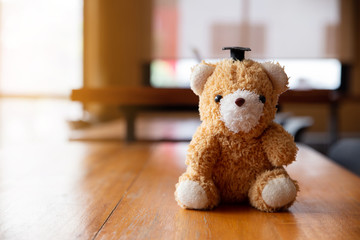 Teddy bear wearing a bachelor's hat on wooden table.Best friends concept