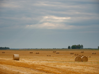 Obraz premium Haystack agriculture field landscape. Agriculture field hay stacks.Mown meadow with blue sky and clouds. Agricultural landscape