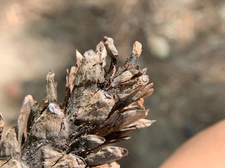 I tend to hike and camp a lot as of late, here are some nature shots I've taken from various camping trips and hikes over the last few months.