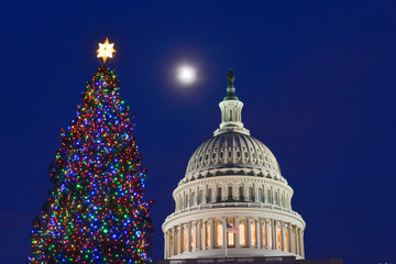 United States Capitol Building and traditional Christmas Tree in capitol Grounds at night - Washington D.C. United States of America