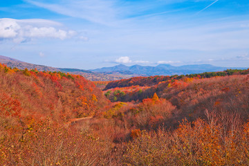 Colorful leaves in Hachimantai mountain ranges, Iwate prefecture, Tohoku, Japan.