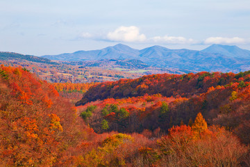 Colorful leaves in Hachimantai mountain ranges, Iwate prefecture, Tohoku, Japan.