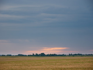 Obraz premium Summer Landscape with Wheat Field and Clouds
