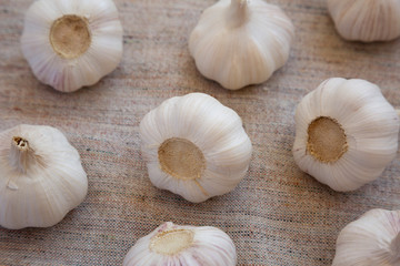 Raw Garlic Bulbs on cloth, side view. Close-up.