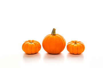 ハロウィン　オレンジ色のカボチャ　白背景