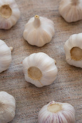 Raw Garlic Bulbs on cloth, side view.