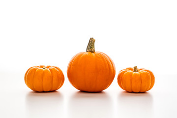 ハロウィン　オレンジ色のカボチャ　白背景