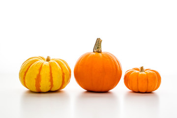 ハロウィン　オレンジ色のカボチャ　白背景