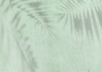 pastel green textured Japanese paper background with palm leaves overlay shadow
