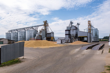 Modern Granary elevator. Silver silos on agro-processing and manufacturing plant for processing...