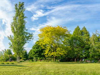 Fototapeta na wymiar Panorama photo of trees in different shapes and leaf tones in a beautifully landscaped garden with a great diversity of trees and flowering shrubs near the village of Harkstede in Groningen