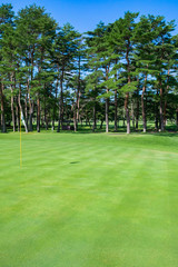 Obraz premium Golf Course with beautiful green field. Golf course with a rich green turf beautiful scenery.