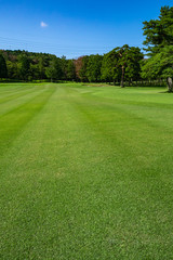Obraz premium Golf Course with beautiful green field. Golf course with a rich green turf beautiful scenery.