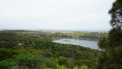 Fototapeta na wymiar Lake and trees on the Great Ocean Road in Victoria, Australia