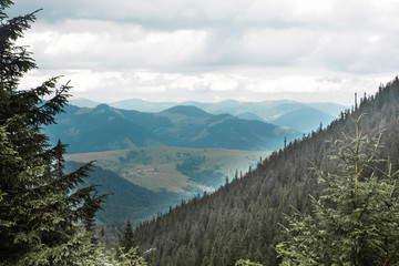 view of summer mountains range. beautiful landscape