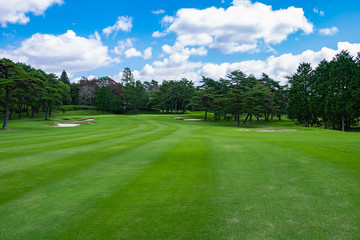 Golf Course with beautiful green field. Golf course with a rich green turf beautiful scenery.
