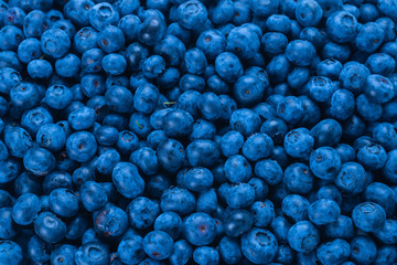 Fresh blueberry background.